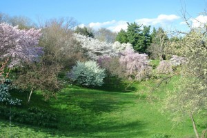 Highland Park in Spring